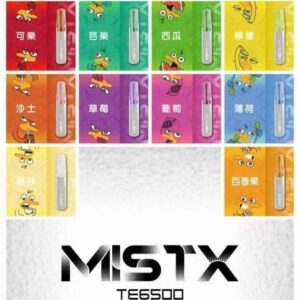 2026全新上市MIST X 鴨嘴獸6500口拋棄式電子煙 | 陶瓷芯更穩定 | 免充電